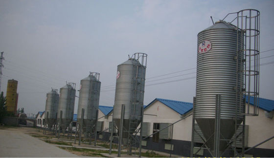 Silo galvanizado da alimentação para a exploração avícola